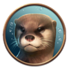 20 armadillos animal symbol