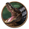20 armadillos crocodile symbol