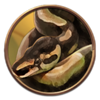 20 armadillos snake symbol