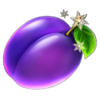 20 christmas fruits plum symbol