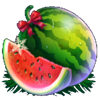 20 christmas fruits watermelon symbol