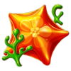 20 crazy octopus orange starfish symbol