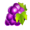 20 diamond plus grapes symbol