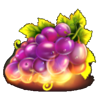 20 fire fruits grapes symbol