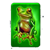 24k gold tiger frog symbol
