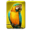24k gold tiger parrot symbol
