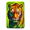 24k gold tiger tiger symbol