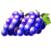 27 eternal hot buy bonus grapes symbol