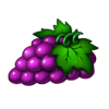27 joker fruits 1000 grape symbol