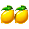 27 wild shots lemons symbol