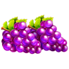 27 wild shots purple grapes symbol