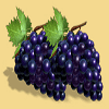 27 wins grapes symbol