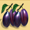 27 wins prunes symbol
