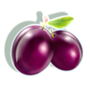 30 treasures plum symbol