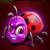 3 buzzing wilds ladybug symbol
