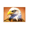 3 charge buffalo eagle symbol