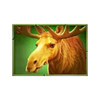 3 charge buffalo moose symbol