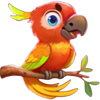 3 cheeky chimps parrot symbol