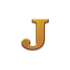 3 coin wild tiger j symbol