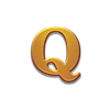 3 coin wild tiger q symbol