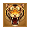 3 coin wild tiger tiger symbol