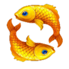 3 fortune pots hold and win fish symbol