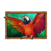 3 genie wishes parrot symbol