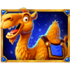 3 pots of wishes camel symbol