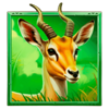 3 totem animals impala symbol