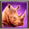 3 totem animals rhino symbol