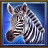 3 totem animals zebra head symbol