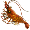 3 treasures shellfish symbol