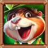 3 wonders tiny musketeers musketeer 3 symbol