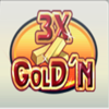 3x gold n wild symbol