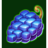 40 bulky fruits grape symbol