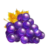 40 fruits and gold coin boost grape symbol