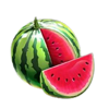 40 fruits and gold coin boost melon symbol