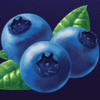 40 fruity reels blueberries symbol