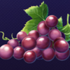 40 fruity reels grape symbol