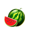 40 glossy hot coin boost watermelon symbol