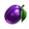 40 hold hot hold and win plum symbol