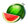 40 hold hot hold and win watermelon symbol