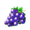 40 lucky wilds hot coin boost grape symbol
