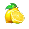 40 lucky wilds hot coin boost lemon symbol