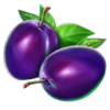 40 lucky wilds hot purple plums symbol