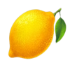 40 sevens diamond treasures lemon symbol