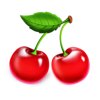 40 shining rainbow clover chance cherry symbol