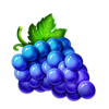 40 shining rainbow clover chance grape symbol