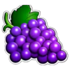 40 super 7 hold and respin grapes symbol