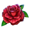 40 vampire beast red rose symbol